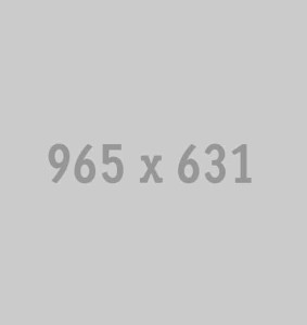 965x631