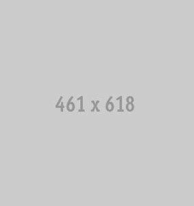 461x618